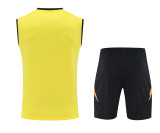 Atletico Mineiro Training Soccer Vest Suit 2025/2026