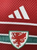 2026-27 Mens Wales home red  Player version Soccer Jersey
