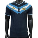 2026-27 Mens Argentina Special Edition Player version soccer  Jersey