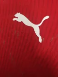 2026-27 Mens  Switzerland Home red Player Version Soccer Jersey