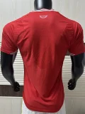 2026-27 Mens Wales home red  Player version Soccer Jersey