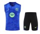Barcelona Pre-Match Training Soccer Vest Suit 2025/2026