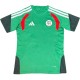 2026-27 Mens Algeria Special edition green  soccer Jersey