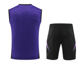 24-25 Germany Purple Sleeveless Training Vest & Black Shorts Kit