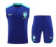 24-25 Brazil Blue Sleeveless Training Vest Kit