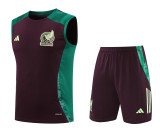 Mexico 2024-2025 Training Kit