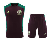 Mexico 2024-2025 Training Kit
