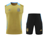 Argentina 2024-2025 Training Kit