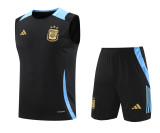 Argentina 2024-2025 Training Kit