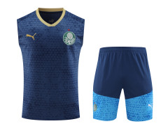 24-25 Palmeiras Strike Pre-Match Sleeveless Jersey & Short Set
