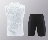 24-25 Real Madrid Strike Pre-Match Sleeveless Jersey & Short Set