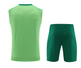 24-25 Palmeiras Strike Pre-Match Sleeveless Jersey & Short Set