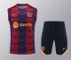 Copy 24-25 FC Barcelona Strike Pre-Match Sleeveless Jersey & Short Set