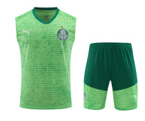 24-25 Palmeiras Strike Pre-Match Sleeveless Jersey & Short Set