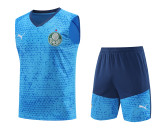 24-25 Palmeiras Strike Pre-Match Sleeveless Jersey & Short Set