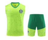 24-25 Palmeiras Strike Pre-Match Sleeveless Jersey & Short Set