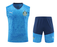 24-25 Palmeiras Strike Pre-Match Sleeveless Jersey & Short Set