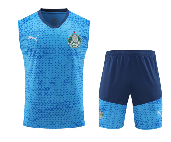 24-25 Palmeiras Strike Pre-Match Sleeveless Jersey & Short Set