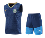 24-25 Palmeiras Strike Pre-Match Sleeveless Jersey & Short Set