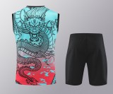 24-25 Real Madrid Strike Pre-Match Sleeveless Jersey & Short Set