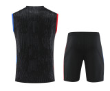 Paris Saint-Germain 24/25 Pre-Match Training Kit