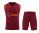 Manchester United 23/24 Training Kit