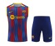 2023-2024 Barcelona Training Jersey and Short Set