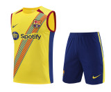2023-2024 Barcelona Training Jersey and Short Set