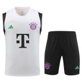 2023-2024 Bayern Munich Training Vest Kit