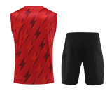 2023-2024 Arsenal FC Pre-Match Training Vest Kit