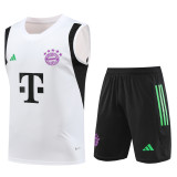 2023-2024 Bayern Munich Training Vest Kit