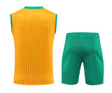 FC Bayern Munich 2023/24 Icons Pre-Match Training Kit - Vest + Shorts