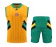 FC Bayern Munich 2023/24 Icons Pre-Match Training Kit - Vest + Shorts