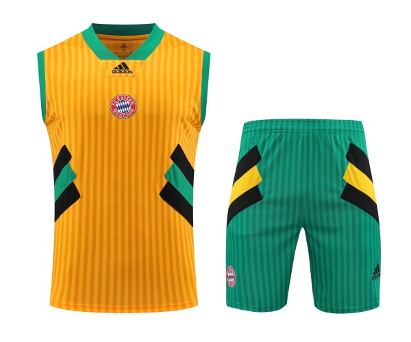 FC Bayern Munich 2023/24 Icons Pre-Match Training Kit - Vest + Shorts