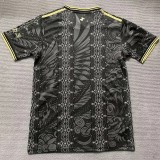 2025-26 Mens Argentina Black Gold Special Edition soccer  Jersey