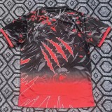 2025-26 Mens Brazil red Special Edition soccer jersey