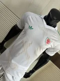 2026-27 Mens Wales away white  Player version Soccer Jersey