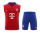 FC Bayern Munich Strike Training Kit (2023/24)