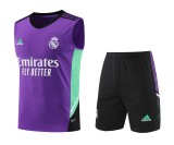 Real Madrid Pre-Match Training Kit 23-24