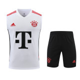 Bayern Munich 23-24 Pre-Match Training Vest Kit