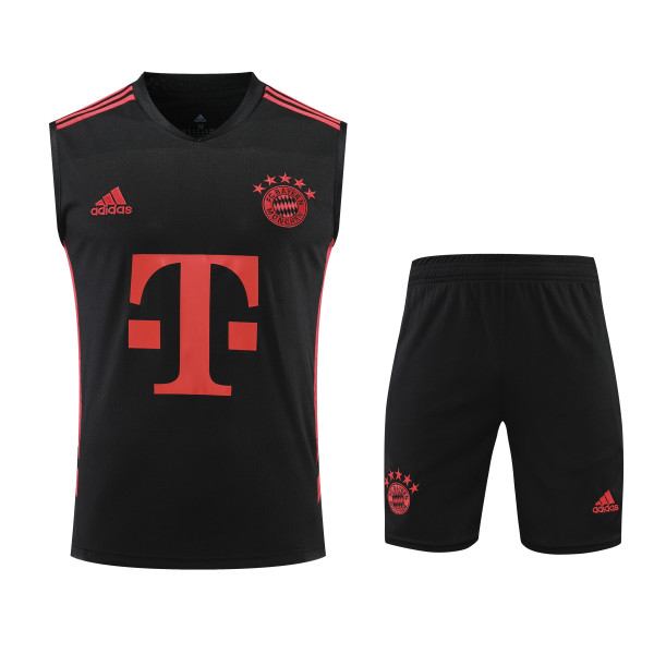 Bayern Munich 23-24 Pre-Match Training Vest Kit