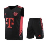 Bayern Munich 23-24 Pre-Match Training Vest Kit