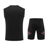 Bayern Munich 23-24 Pre-Match Training Vest Kit