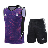 Juventus 23-24 Pre-Match Training Vest Kit
