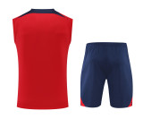 Paris Saint-Germain x Nike 2022-23 Pre-Match Training Kit
