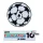 Premier League Winner 2025