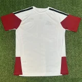 2026-27 Mens Germany Special Edition  White  soccer  jersey
