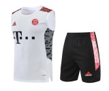 Bayern Munich Pre-Match Training Kit 2022-23