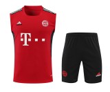 Bayern Munich Pre-Match Training Kit 2022-23