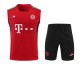 Bayern Munich Pre-Match Training Kit 2022-23